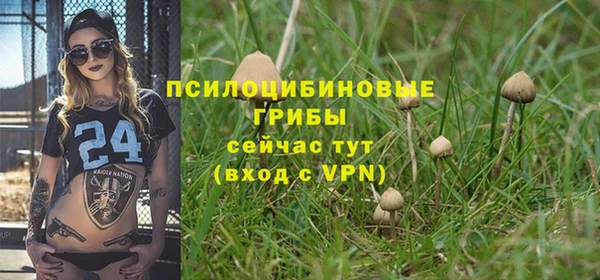 гидра Аркадак