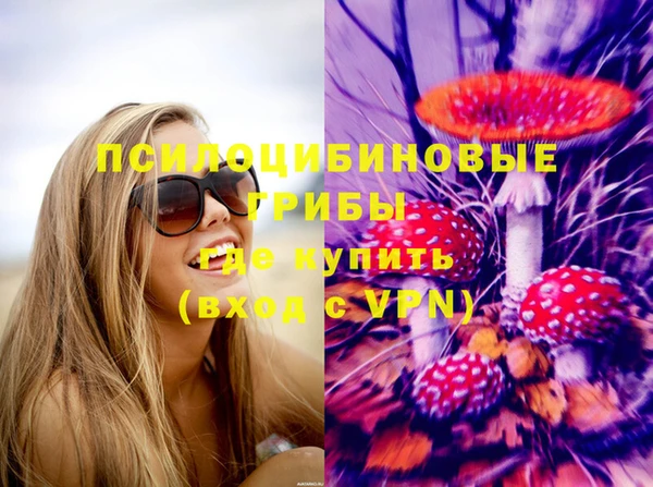 гидра Аркадак